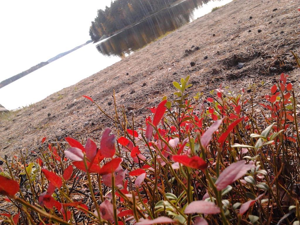 Kuoreksenniemi Villas & Lakehouse Puumala Esterno foto
